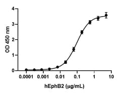Biolegend Recombinant Human Ephrin-B1 (carrier-free), Quantity: Each of