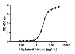Biolegend Recombinant Human EphA1-Fc Chimera (carrier-free), Quantity: