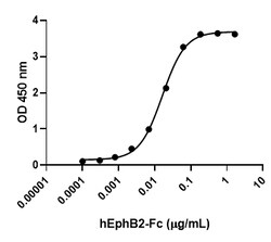 Biolegend Recombinant Human EphB2-Fc Chimera (carrier-free), Quantity: