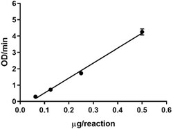 Biolegend Recombinant Human Complement Factor D (carrier-free), Quantity: