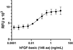 Biolegend Recombinant Human FGF-basic (146 aa) (carrier-free), Quantity:
