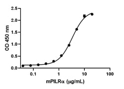 Biolegend Recombinant Mouse PILRα (carrier-free), Quantity: Each of 1