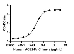 Biolegend Recombinant SARS-CoV-2 S Protein S1 (carrier-free), Quantity: