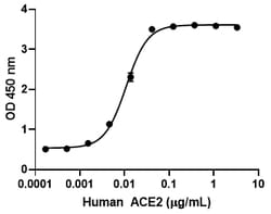 Biolegend Recombinant SARS-CoV-2 S Protein S1-Fc Chimera (carrier-free),