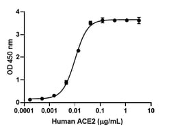Biolegend Recombinant SARS-CoV-2 S Protein RBD-Fc Chimera (carrier-free),