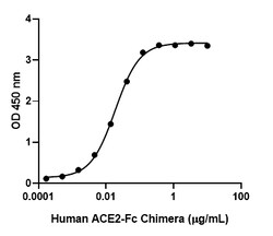 Biolegend Recombinant SARS-CoV-2 S Protein RBD (carrier-free), Quantity: