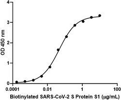 Biolegend Biotinylated Recombinant SARS-CoV-2 S Protein S1 (carrier-free),