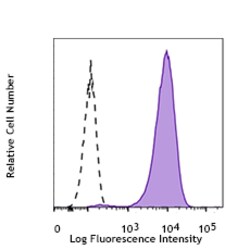 Biolegend PE/Cyanine7 anti-Tubulin β 3 (TUBB3), Quantity: Each of 1
