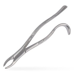 Med Vet International 7-in Molar/Extractor Forceps, German, Quantity: Each