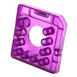 Revvity Health Sciences Inc LabChip High pI Charge Variant Analysis LabChip,