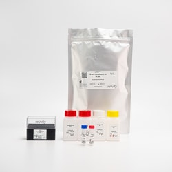 Revvity Health Sciences Inc HTRF -arrestin 2 Recruitment Detection Kit,