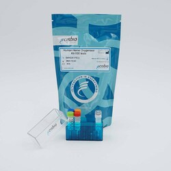 Revvity Health Sciences Inc HTRF Human Heme oxygenase-1 Detection Kit,