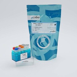 Revvity Health Sciences Inc&nbsp;HTRF Human Total RIPK1 Detection Kit, 500 Assay Points