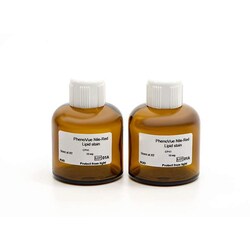 Revvity Health Sciences Inc&nbsp;PhenoVue Nile Red Lipid Stain