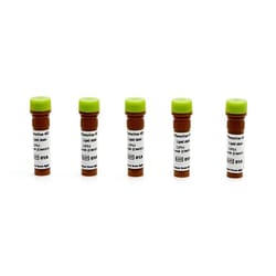 Revvity Health Sciences Inc&nbsp;PhenoVue 493 Lipid Stain