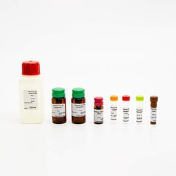 Revvity Health Sciences Inc PhenoVue Cell Painting Kit 10 x 384-wells,