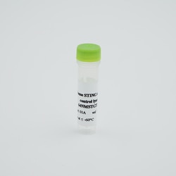 Revvity Health Sciences Inc&nbsp;HTRF Mouse Total STING Detection Kit, Control Lysate