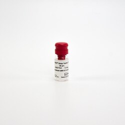 Revvity Health Sciences Inc HTRF Strep-Tactin Tb-Conjugate, 20,000 Assay