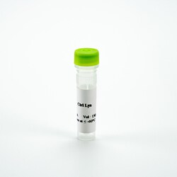 Revvity Health Sciences Inc&nbsp;HTRF Total MSH3 Detection Kit, Control Lysate
