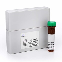 Revvity Health Sciences Inc&nbsp;HTRF Human Total JAK2 Detection Kit, 50,000 Assay Points