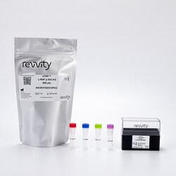 Revvity Health Sciences Inc HTRF Phospho-c-RAF (Ser43) Detection Kit, 10,000