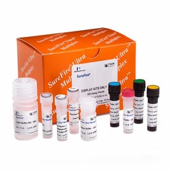 Revvity Health Sciences Inc&nbsp;AlphaLISA <em>SureFire Ultra</em> Multiplex Human & Mouse Phospho-eIF2&alpha; (Ser51 & total) Detection Kit, 500 Assay Points