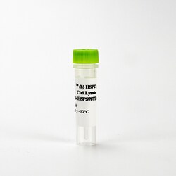 Revvity Health Sciences Inc HTRF Phospho-HSP27 (Ser78) Detection Kit, Control
