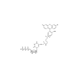 Revvity Health Sciences Inc Fluorescein-12-dUTP, Quantity: Each of 1