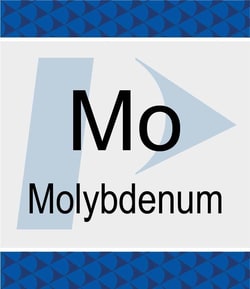 Perkin Elmer US LLC Molybdenum (Mo) Standard, 1000 µg/g, in Hydrocarbon