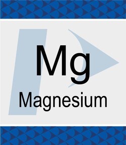 Perkin Elmer US LLC Magnesium (Mg) Standard, 1000 µg/g, in Hydrocarbon