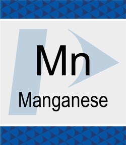 Perkin Elmer US LLC Maganese (Mn) Standard, 1000 µg/g, in Hydrocarbon Oil,