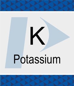 Perkin Elmer US LLC Potassium (K) Standard, 1000 µg/g, in Hydrocarbon Oil,