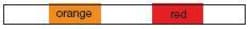 Perkin Elmer US LLC PVC Pure Flared Two-Stop Pump Tubing - 0.19 mm I.D., Orange/Red, Pkg. 12