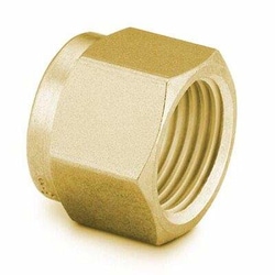 Perkin Elmer US LLC Swagelok Brass Nuts - 0.0625 in, Pkg. 5, Quantity: