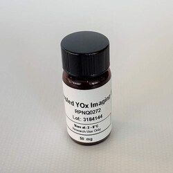 Revvity Health Sciences Inc WGA YOX SPA Imaging Beads, 50 mg