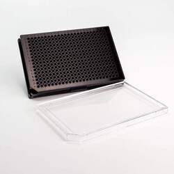 Revvity Health Sciences Inc ProxiPlate 384-shallow well Plus, black, tissue culture treated, case of 50