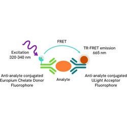 Revvity Health Sciences Inc LANCE Ultra Human IL-11 Detection Kit, 10,000