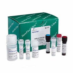 Revvity Health Sciences Inc AlphaLISA <em>SureFire Ultra</em> Human Phospho-EGFR (Tyr1068) Detection Kit, 50,000 Assay Points