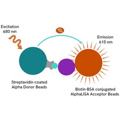 Revvity Health Sciences Inc AlphaLISA TruHits Kit, 1,000 Assay Points,