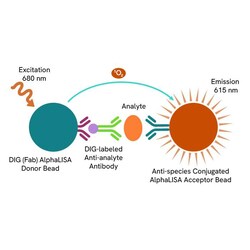 Revvity Health Sciences Inc&nbsp;AlphaLISA Human Factor VIII Biotin Free Detection Kit, 500 Assay Points