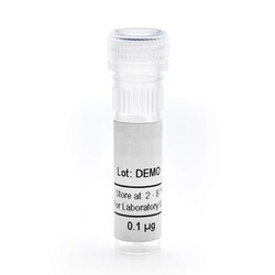 Revvity Health Sciences Inc AlphaLISA High Specificity Human AÎ² 1-40 Detection