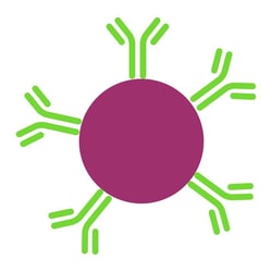 Revvity Health Sciences Inc&nbsp;AlphaPlex 545 (Terbium) Protein A Acceptor Beads, 250 Âµg