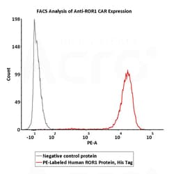 ACROBiosystems PE-LABELED HUMAN ROR1 PROTEIN, Quantity: Each of 1