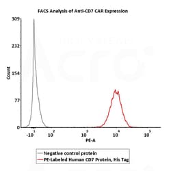 ACROBiosystems PE-LABELED HUMAN CD7 PROTEIN H, Quantity: Each of 1