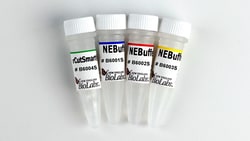 New England Biolabs, Inc. NEBuffer Set (r1.1, r2.1, r3.1, rCutSmart ) 6