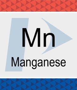 Perkin Elmer US LLC Manganese (Mn) Pure Standard, 10,000 µg/mL, 5% HNO3,