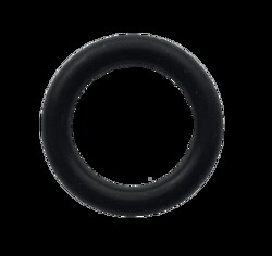 Perkin Elmer US LLC Parofluor O-Ring, 0.208 in I.D.