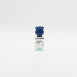 Revvity Health Sciences Inc HTRF mAb Anti-DNP XL665-Conjugate, 20,000 Assay
