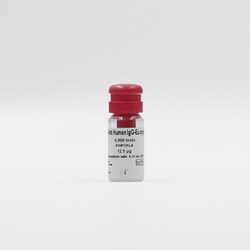 Revvity Health Sciences Inc HTRF pAb Anti-Human IgG Eu-Conjugate, 20,000