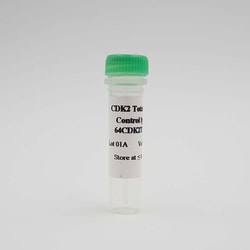 Revvity Health Sciences Inc&nbsp;HTRF Human & Mouse Total CDK2 Detection Kit, Control Lysate